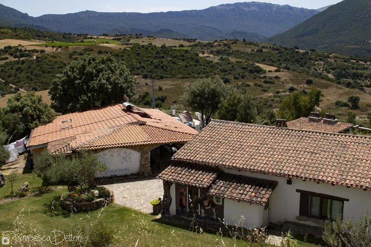 Affittcamere Jannas Orgosolo Italie