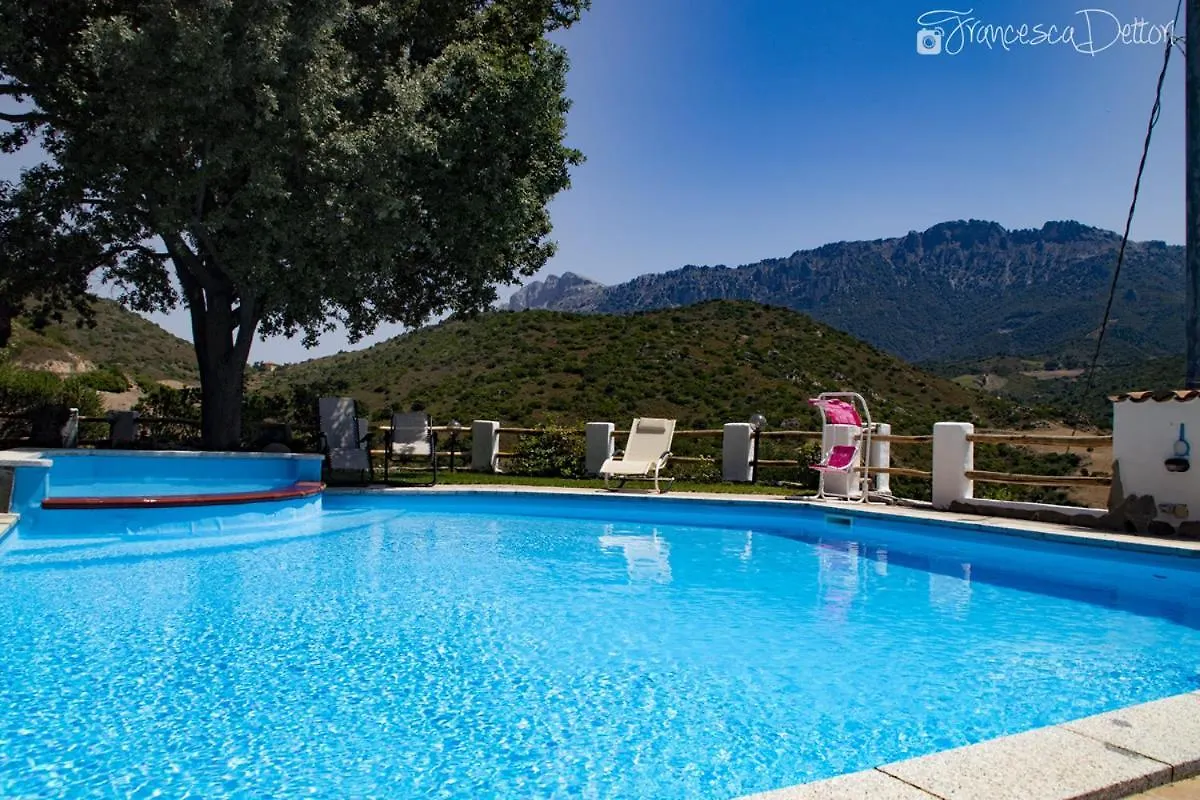 Maison d'hôtes Affittcamere Jannas Orgosolo Italie