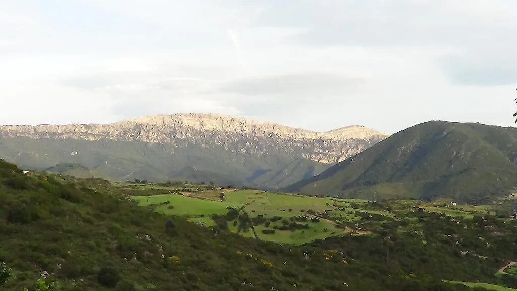 Affittcamere Jannas Orgosolo Maison d'hôtes
