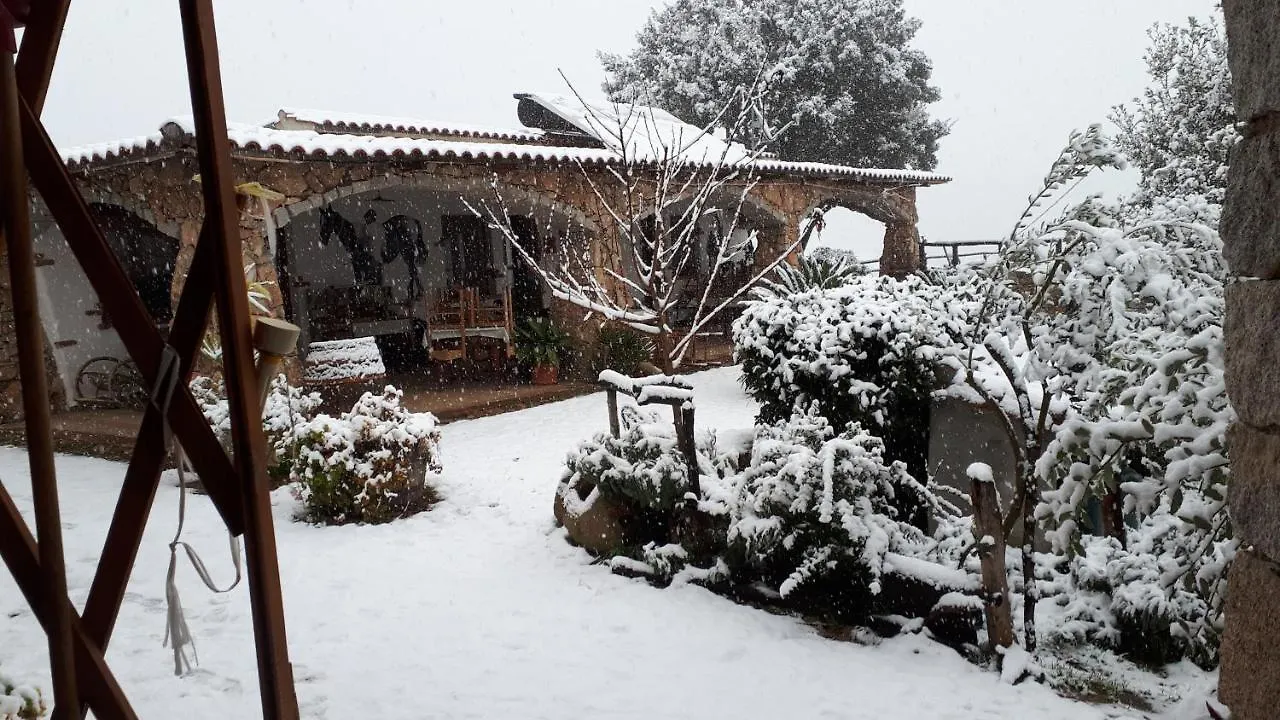 Affittcamere Jannas Orgosolo Guest house