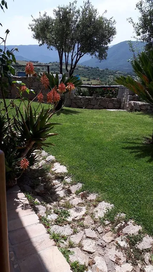 Guest house Affittcamere Jannas Orgosolo Italy